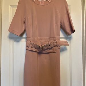 Veronica Beard, pink dress